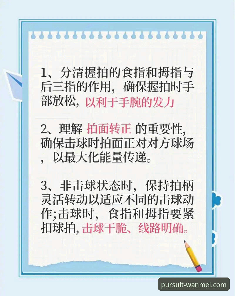 新手必看：完美体育官方入口必备的使用体验与实战心得